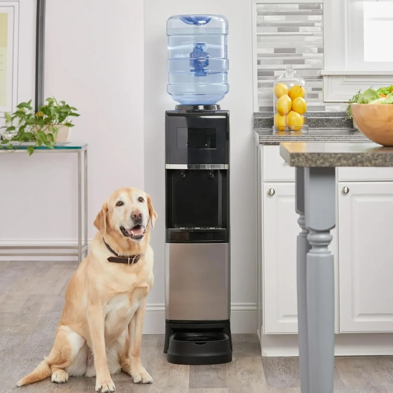 Factory Price Water Dispenser for 5 Gallon Bottle with Pet Drinking Station - Hot & Cold Top Loading Water Cooler Machine
Factory Price Water Dispenser for 5 Gallon Bottle with Pet Drinking Station - Hot & Cold Top Loading Water Cooler Machine
