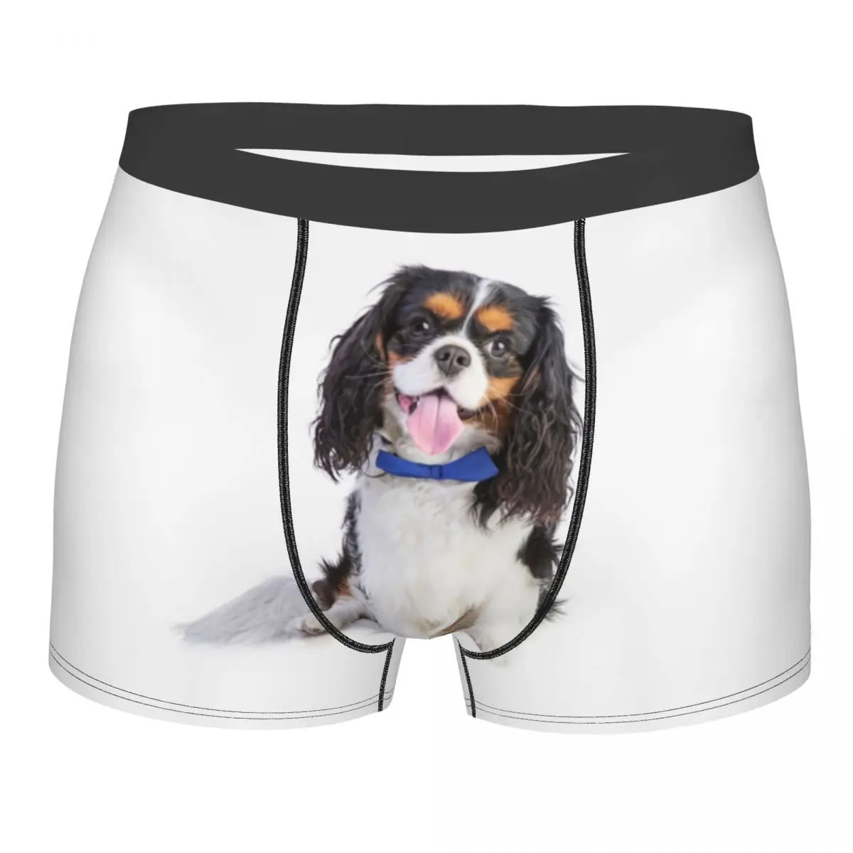 Индивидуальное милое нижнее белье для мужчин, модель Cavalier King Charles Spaniel, мужское дышащее мягкое нижнее белье для мужчин
Индивидуальное милое нижнее белье для мужчин, модель Cavalier King Charles Spaniel, мужское дышащее мягкое нижнее белье для мужчин