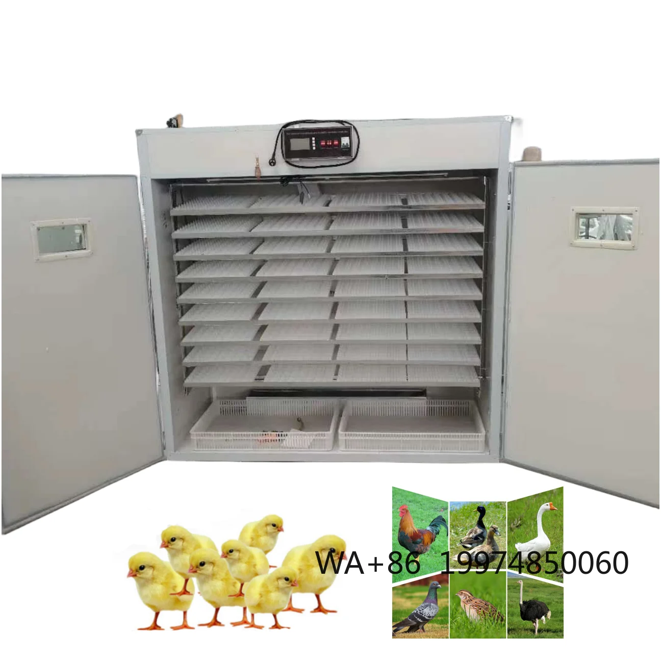 High Quality 220V Automatic Commercial 400-5000 Egg Incubator Quail Chicken Duck Turkey Bird Ostrich PC Material Motor Core New
High Quality 220V Automatic Commercial 400-5000 Egg Incubator Quail Chicken Duck Turkey Bird Ostrich PC Material Motor Core New