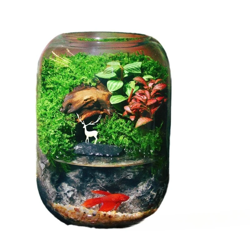 Life Tabletop, Finished Green Plants Moss Micro Landscape, Potted Tree Ecological Bottle Bonsai
Life Tabletop, Finished Green Plants Moss Micro Landscape, Potted Tree Ecological Bottle Bonsai
