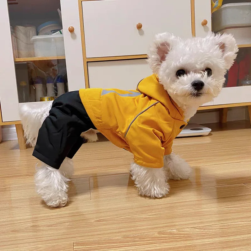 Pet Clothing Dog Autumn/Winter Hat Set Four Legged Clothes Windproof and Waterproof Teddy Bear Dog Clothing Cotton Jacket
Pet Clothing Dog Autumn/Winter Hat Set Four Legged Clothes Windproof and Waterproof Teddy Bear Dog Clothing Cotton Jacket