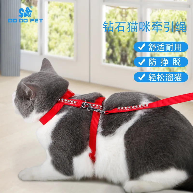 Поводок для кошек DODOPET, поводок для кошек, поводок для предотвращения разрыва, H-образный нагрудный ремень, Тедди Bomei, поводок для маленьких собак
Поводок для кошек DODOPET, поводок для кошек, поводок для предотвращения разрыва, H-образный нагрудный ремень, Тедди Bomei, поводок для маленьких собак