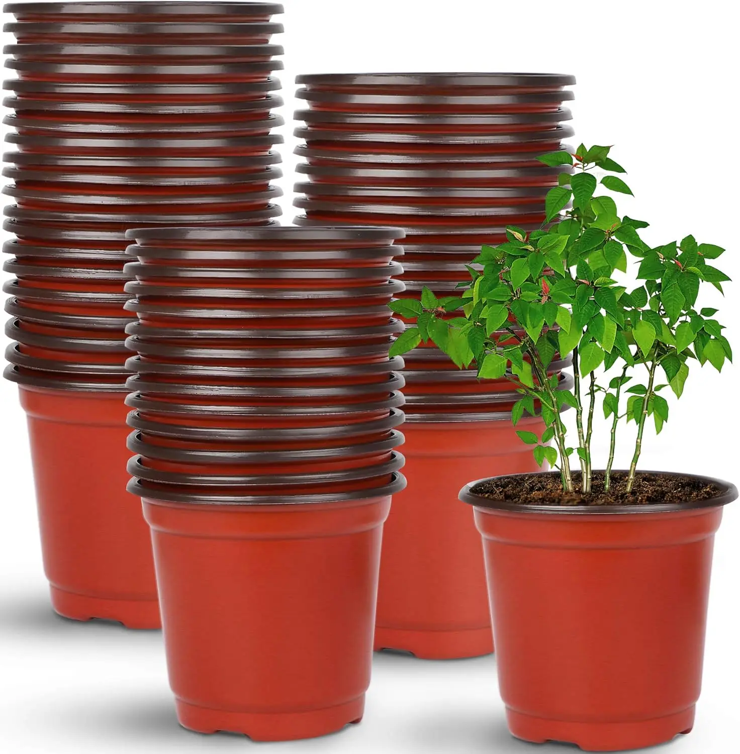 110 Pcs 4" Plastic Nursery Pots, Seed Starting Pots for Indoor Outdoor Plants, Durable PP Material with Drainage Holes
110 Pcs 4" Plastic Nursery Pots, Seed Starting Pots for Indoor Outdoor Plants, Durable PP Material with Drainage Holes