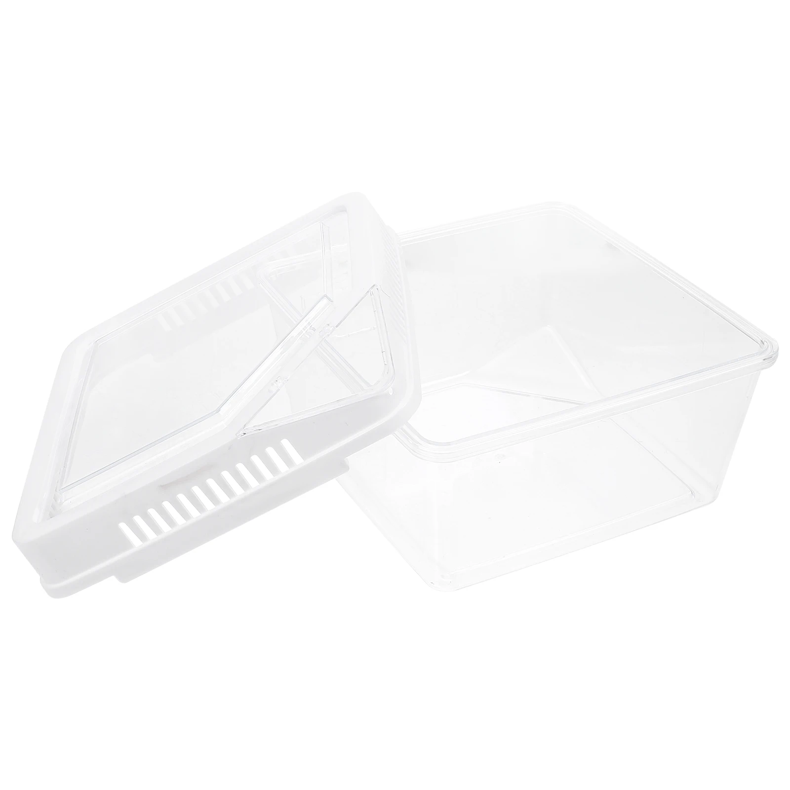 Plastic Reptile Enclosure Box Lightweight White Small Animal Container Terrarium Spider Breeding Transparent Pet
Plastic Reptile Enclosure Box Lightweight White Small Animal Container Terrarium Spider Breeding Transparent Pet
