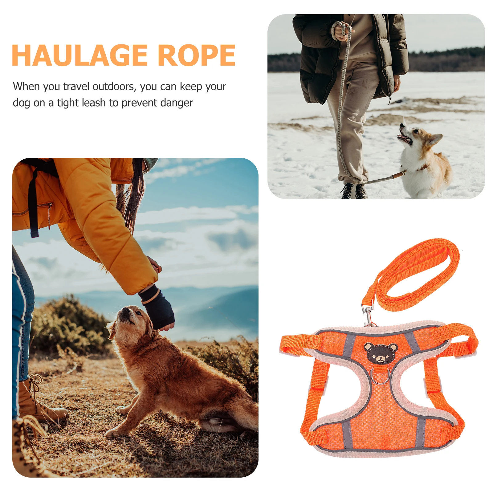 Reflective Dog Harness Soft Chest Straps Cooling Vest Polyester Rope Durable Easy Clean Pet Supplies Breathable Comfortable
Reflective Dog Harness Soft Chest Straps Cooling Vest Polyester Rope Durable Easy Clean Pet Supplies Breathable Comfortable
