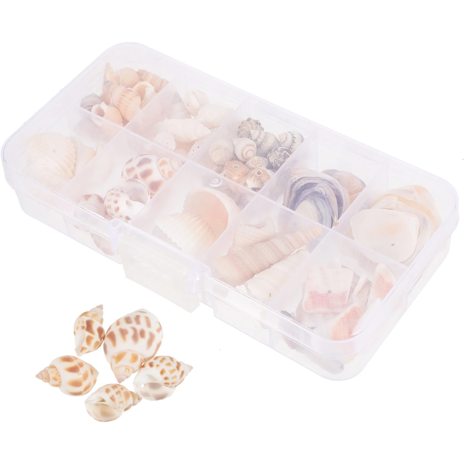 Shell Jewelry Accessories Shells Craft DIY Conch Beads Hole Design Natural Decor Aquarium Landscape Mini
Shell Jewelry Accessories Shells Craft DIY Conch Beads Hole Design Natural Decor Aquarium Landscape Mini