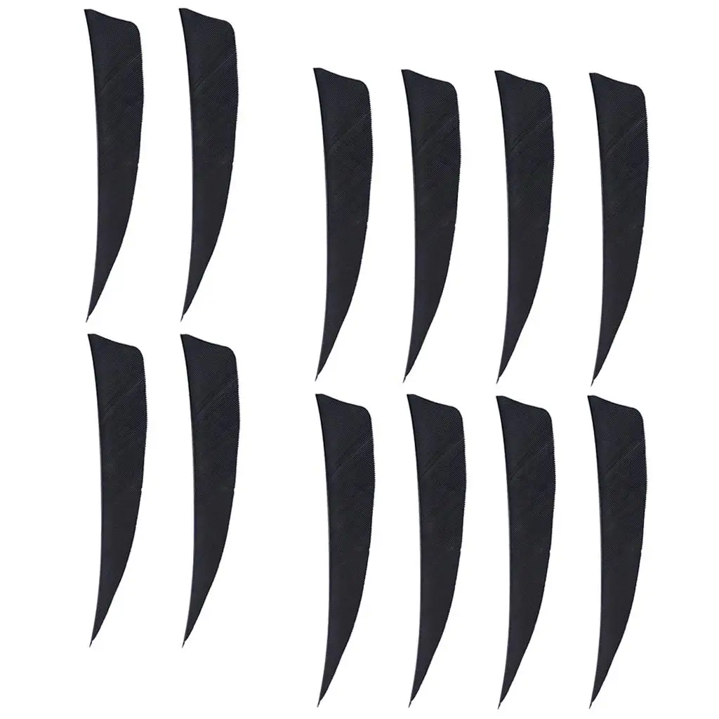 Archery Target Fletching Vanes Turkey Feather Arrow Fletches for Outdoor Practice and Hunting Bows
Archery Target Fletching Vanes Turkey Feather Arrow Fletches for Outdoor Practice and Hunting Bows