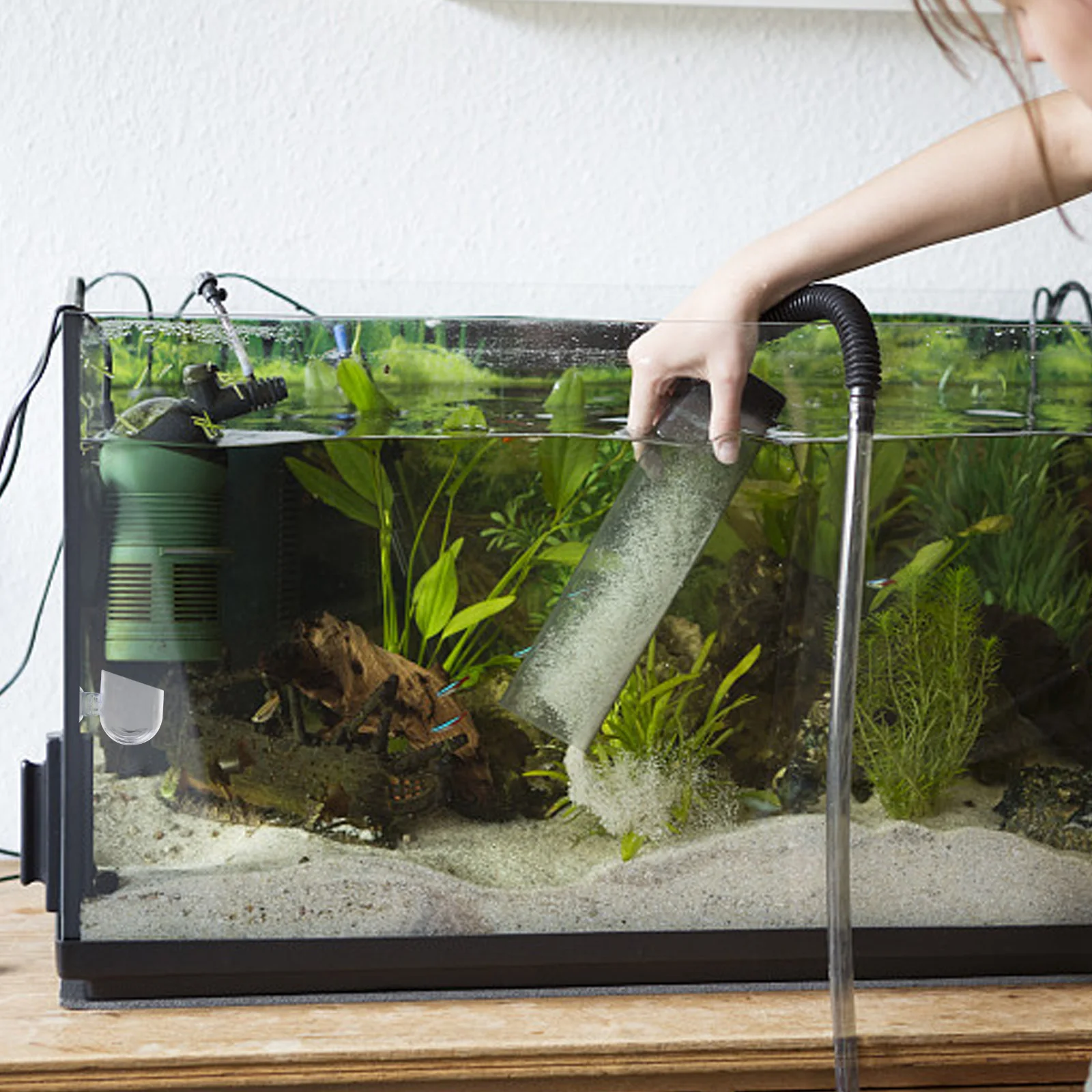 4 Pcs Red Worm Feeder Cup Fish Tank Accessory Suction Design Compact Size Acrylic Material Feeding Plant Holder Pet Supplies
4 Pcs Red Worm Feeder Cup Fish Tank Accessory Suction Design Compact Size Acrylic Material Feeding Plant Holder Pet Supplies