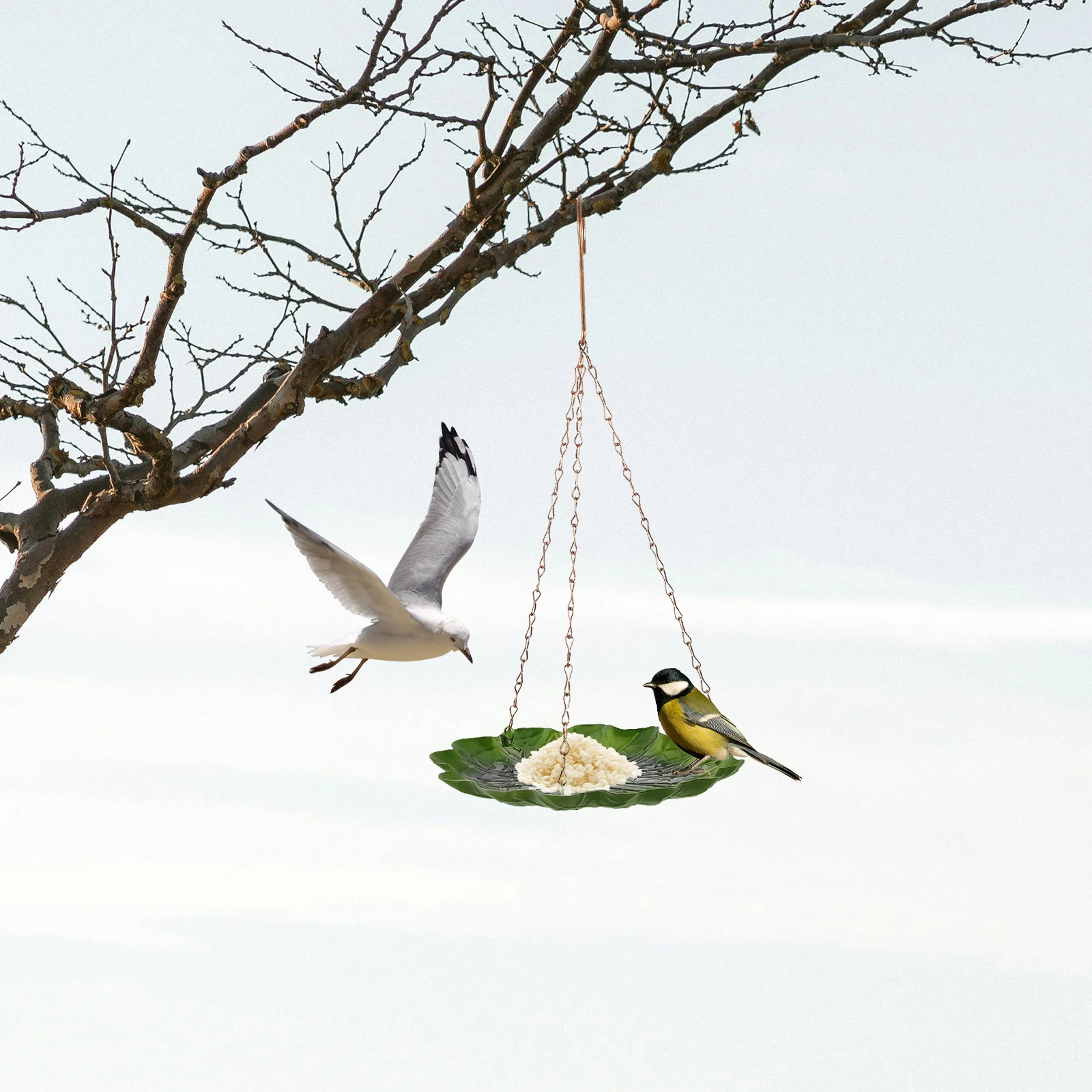 Iron Leaf Bird Feeder Green Hanging Squirrel Proof Easy Refill Clean Outdoor Garden Pet Supplies Wild Bird Feeding
Iron Leaf Bird Feeder Green Hanging Squirrel Proof Easy Refill Clean Outdoor Garden Pet Supplies Wild Bird Feeding