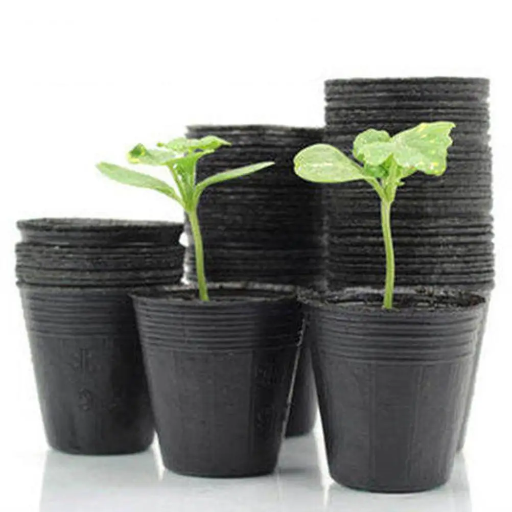 300 Pcs Nutrition Bowl Seedling Trays Plants Pots Nursery Planting Cups Plastic Small Starter Garden Tool Storage Container
300 Pcs Nutrition Bowl Seedling Trays Plants Pots Nursery Planting Cups Plastic Small Starter Garden Tool Storage Container