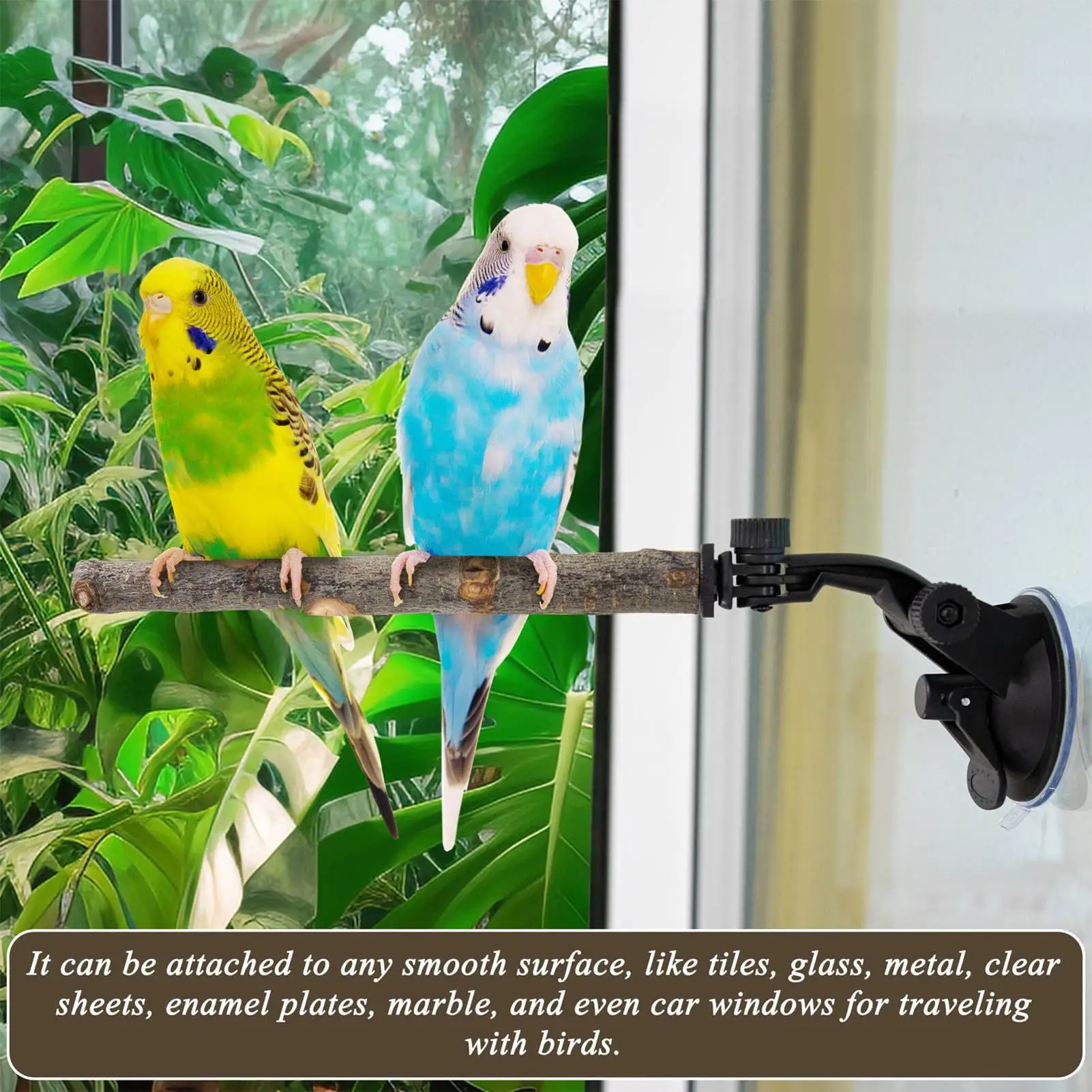 Bird Toy Perch Chew-Resistant Interactive Play Stand Bird Window Perch Stand For Parakeet Lovebird Conure Cockatiel Finch Flat
Bird Toy Perch Chew-Resistant Interactive Play Stand Bird Window Perch Stand For Parakeet Lovebird Conure Cockatiel Finch Flat