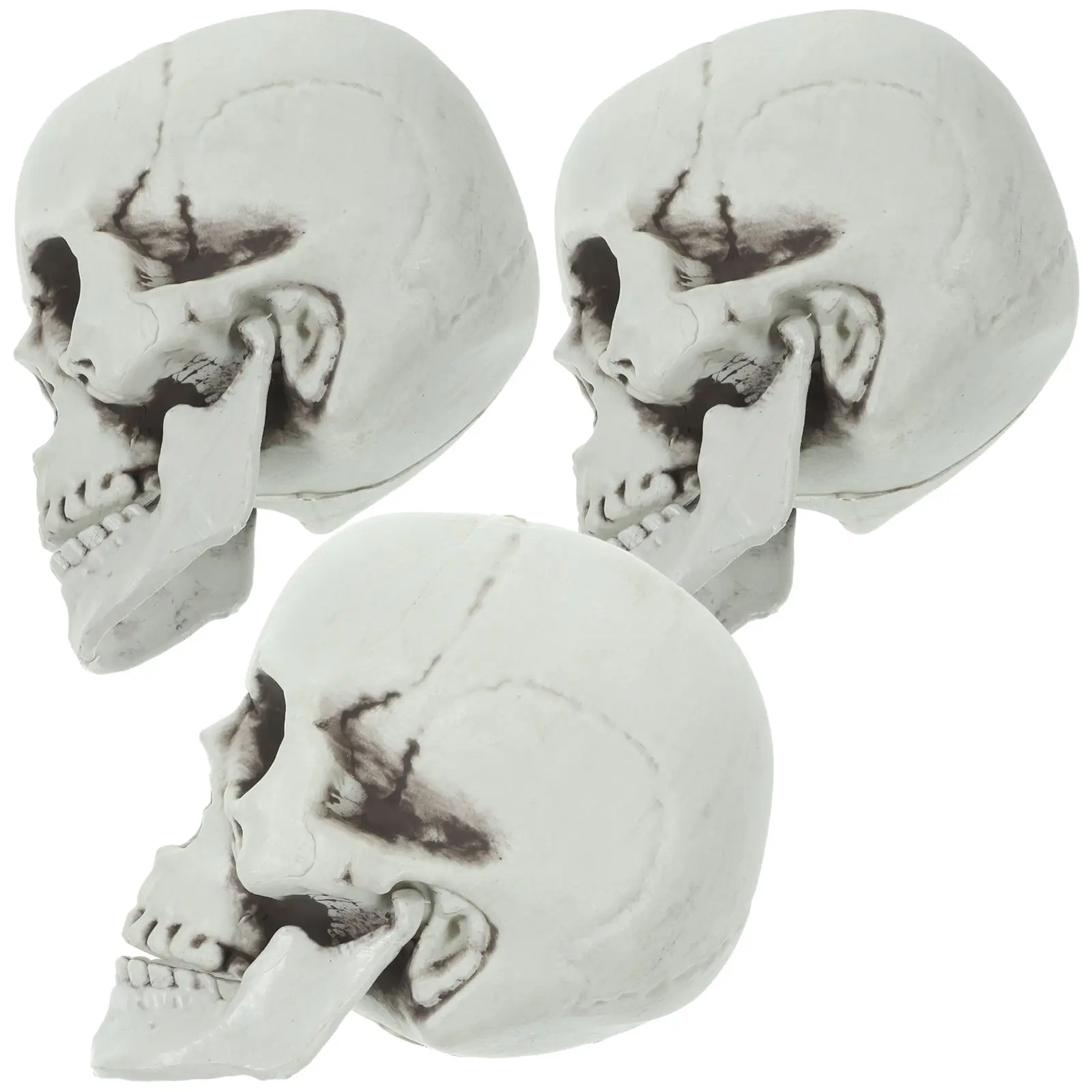 3 Pcs Skull Ornaments Horror Props Decor Halloween Scared Accessories Party Scary Decoration
3 Pcs Skull Ornaments Horror Props Decor Halloween Scared Accessories Party Scary Decoration
