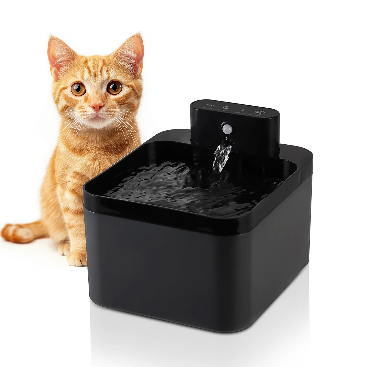 2.2LCat Water Fountain Battery & Sensor 2 in 1 Drinking Fountain For Cats Dog Drinker Wireless Pet Water Dispenser Accessories
2.2LCat Water Fountain Battery & Sensor 2 in 1 Drinking Fountain For Cats Dog Drinker Wireless Pet Water Dispenser Accessories