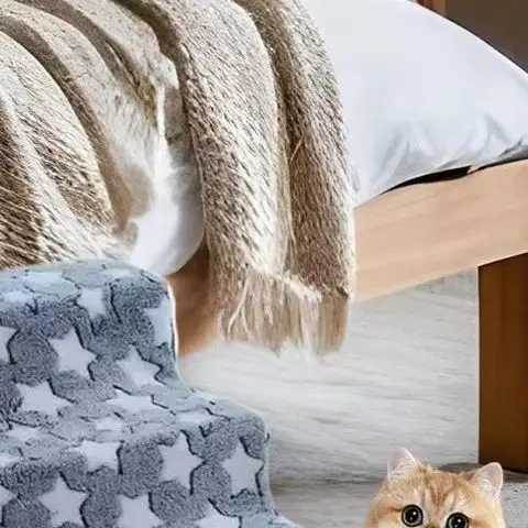 Pet Stairs Puppy Ramp For Sofa Detachable Household Kitten Ramp For Puppies Cats Living Room Bedroom Study Windowsill Sofa Bed
Pet Stairs Puppy Ramp For Sofa Detachable Household Kitten Ramp For Puppies Cats Living Room Bedroom Study Windowsill Sofa Bed