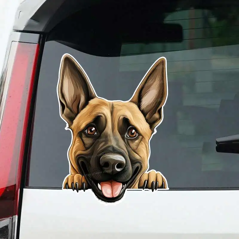 Belgian Malinois Pet Dog Animal Car Sticker Waterproof Styling Automobiles Motorcycle Exterior Accessories Vinyl Decals Y204
Belgian Malinois Pet Dog Animal Car Sticker Waterproof Styling Automobiles Motorcycle Exterior Accessories Vinyl Decals Y204