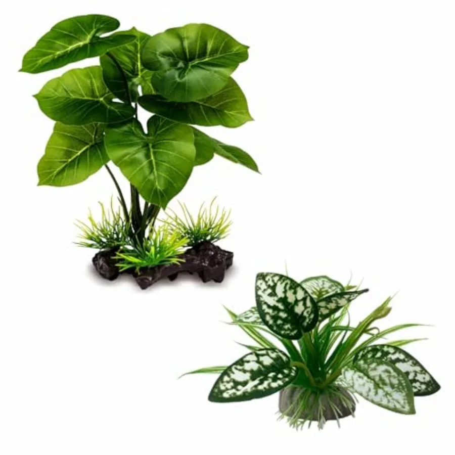 Reptile Articial Plants Terrarium Plants Decorations Supplies Aquarium Fish Tank Plant Amphibian Habitat Hideout Tank Accessori
Reptile Articial Plants Terrarium Plants Decorations Supplies Aquarium Fish Tank Plant Amphibian Habitat Hideout Tank Accessori