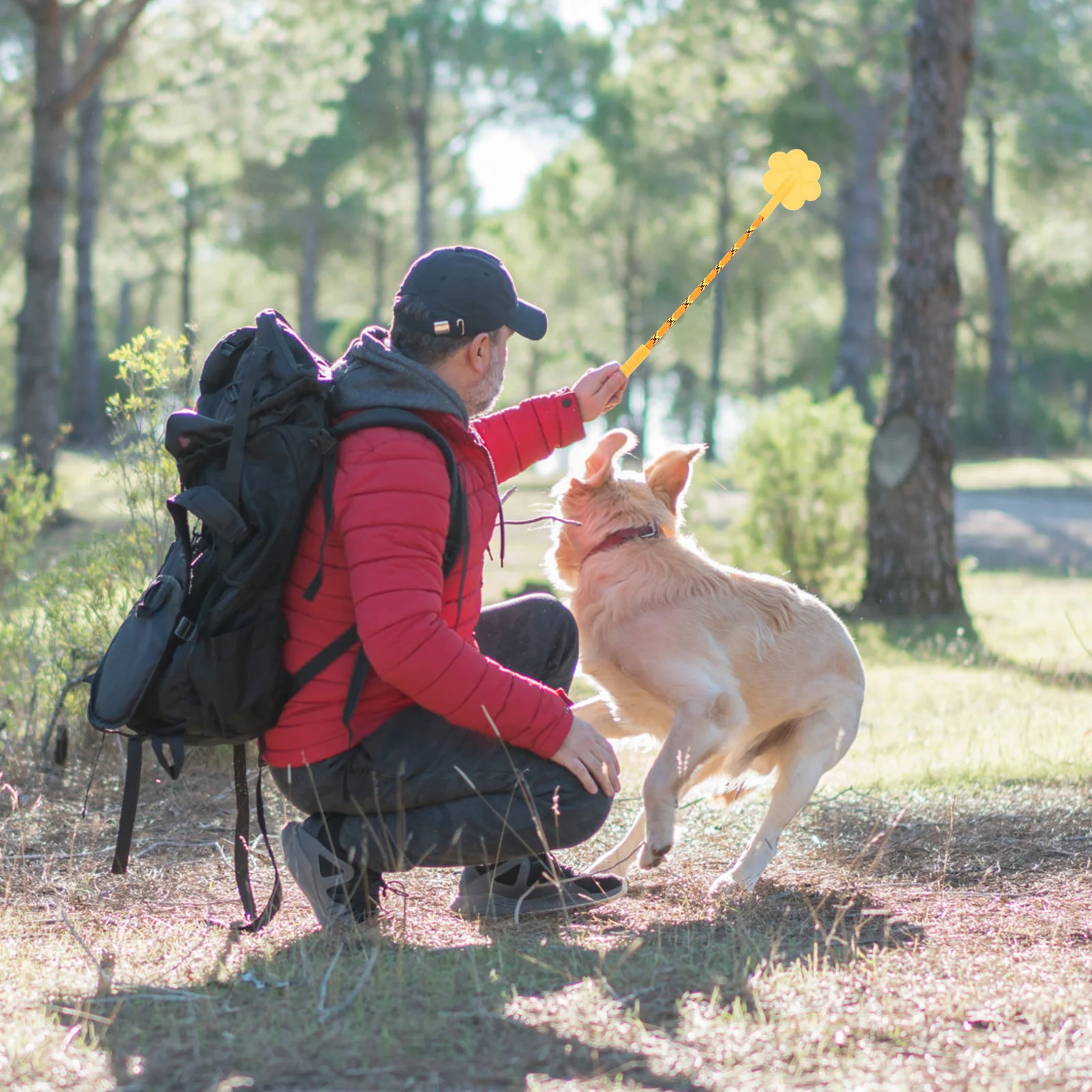 2Pcs Heart Design Rubber Dog Training Humanized Handle Comfortable Grip Training Aid for Intelligence Endurance Building
2Pcs Heart Design Rubber Dog Training Humanized Handle Comfortable Grip Training Aid for Intelligence Endurance Building