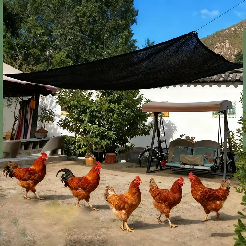 Уличные теневые украшения для садов, аксессуары, автомобильная сетка, декор для двора и сада, складной выдвижной тент, терраса
Уличные теневые украшения для садов, аксессуары, автомобильная сетка, декор для двора и сада, складной выдвижной тент, терраса