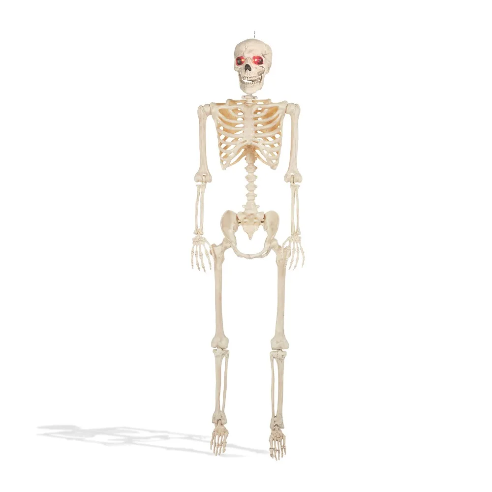 5' Animated Full Size Halloween Skeleton Decoration, Lightup Eyes and Speaker
5' Animated Full Size Halloween Skeleton Decoration, Lightup Eyes and Speaker