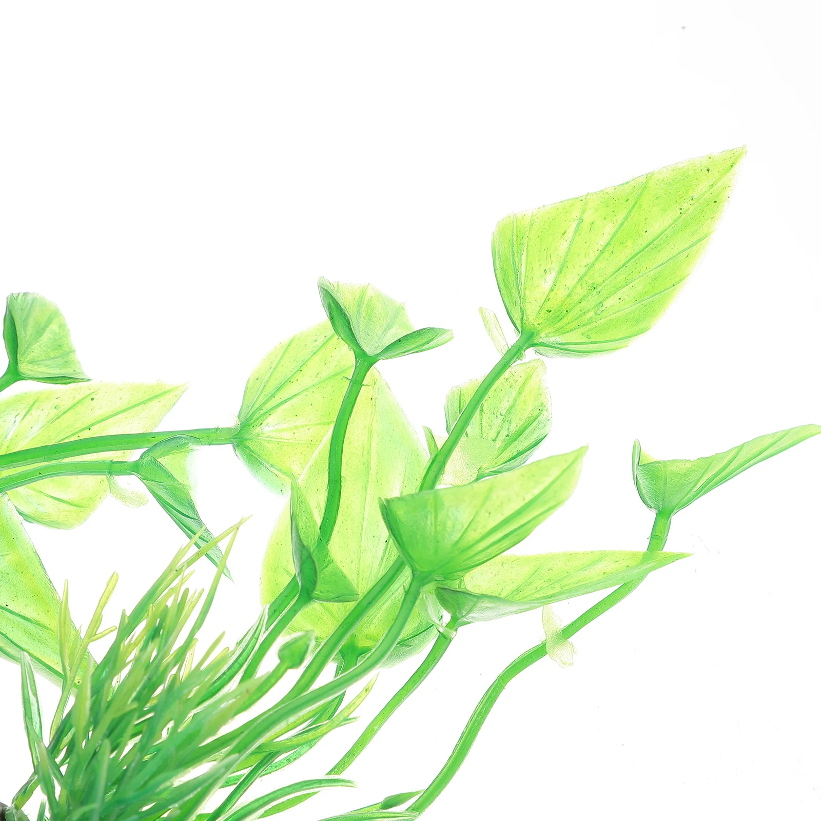 10Pcs Artificial Fish Tank Plants Lifelike Water Grass Decorations Aquarium Freshwater Underwater Landscape Fish Tank Plants
10Pcs Artificial Fish Tank Plants Lifelike Water Grass Decorations Aquarium Freshwater Underwater Landscape Fish Tank Plants