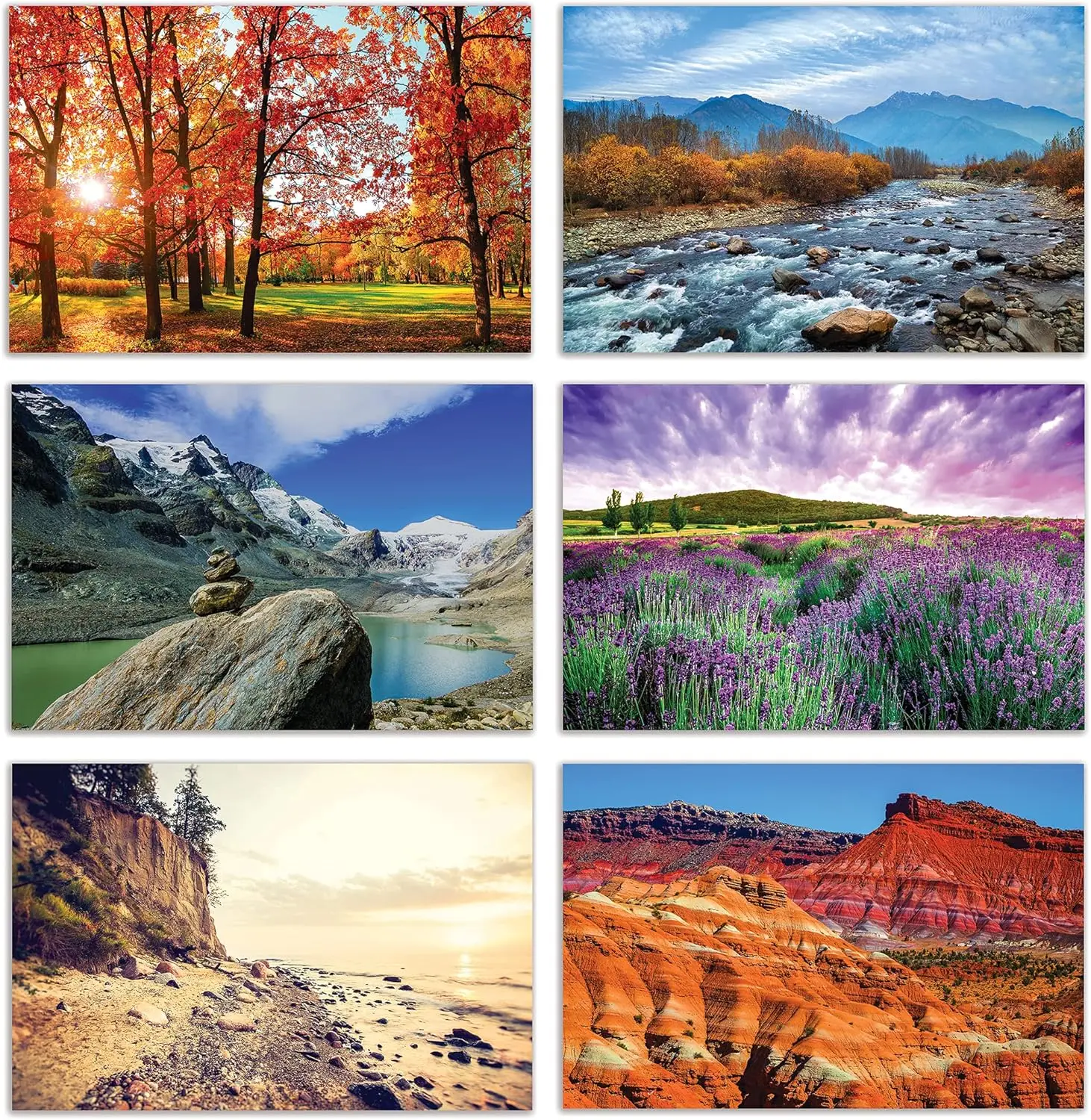 50-Pack Greeting Cards Box Set with Envelopes, 4x6 Blank Note Cards, 6 Nature Americana Designs for All Occasions
50-Pack Greeting Cards Box Set with Envelopes, 4x6 Blank Note Cards, 6 Nature Americana Designs for All Occasions