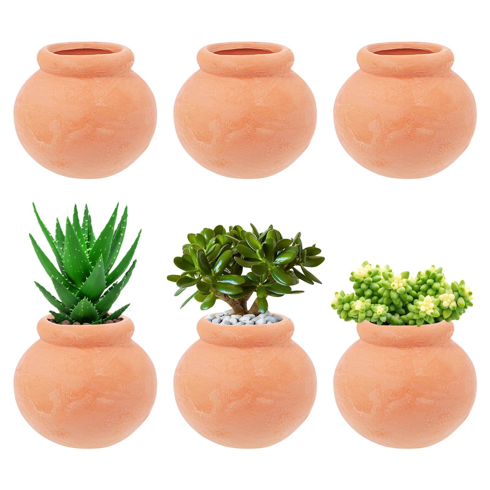 6 Pcs Small Plants Succulent Flower Pot Terracotta Basin Mini House Accessories Spindle
6 Pcs Small Plants Succulent Flower Pot Terracotta Basin Mini House Accessories Spindle