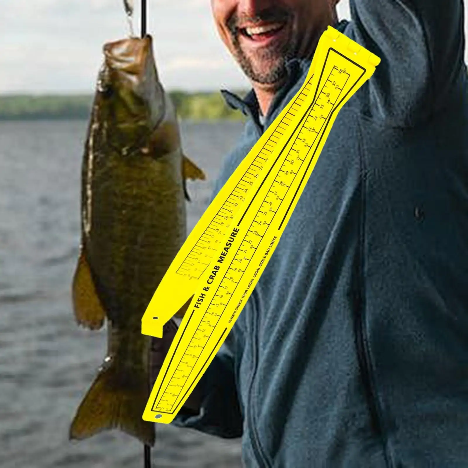 Измерительная доска для рыбы, 31 дюйм/80 см, датчик омара для любителей рыбалки, берег
Измерительная доска для рыбы, 31 дюйм/80 см, датчик омара для любителей рыбалки, берег