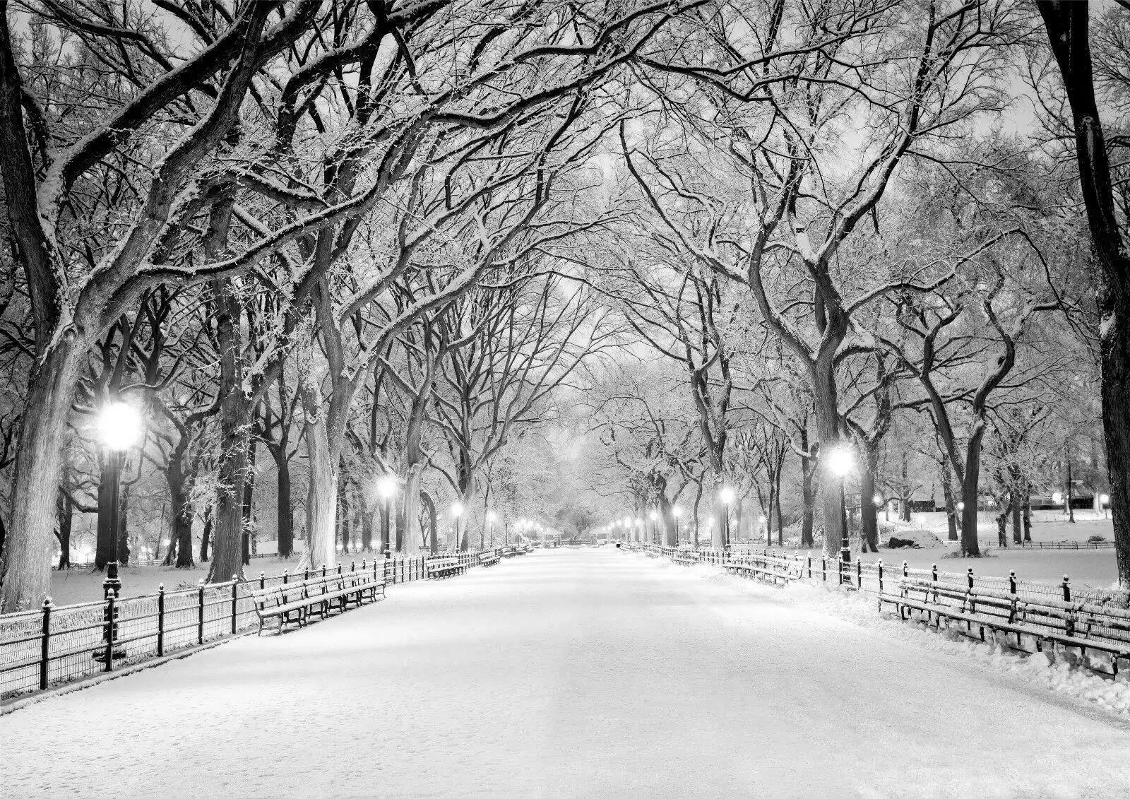 Central Park New York Black & White Winter Tree Giant ,Art Picture Print Silk Poster, Home Wall Decor
Central Park New York Black & White Winter Tree Giant ,Art Picture Print Silk Poster, Home Wall Decor