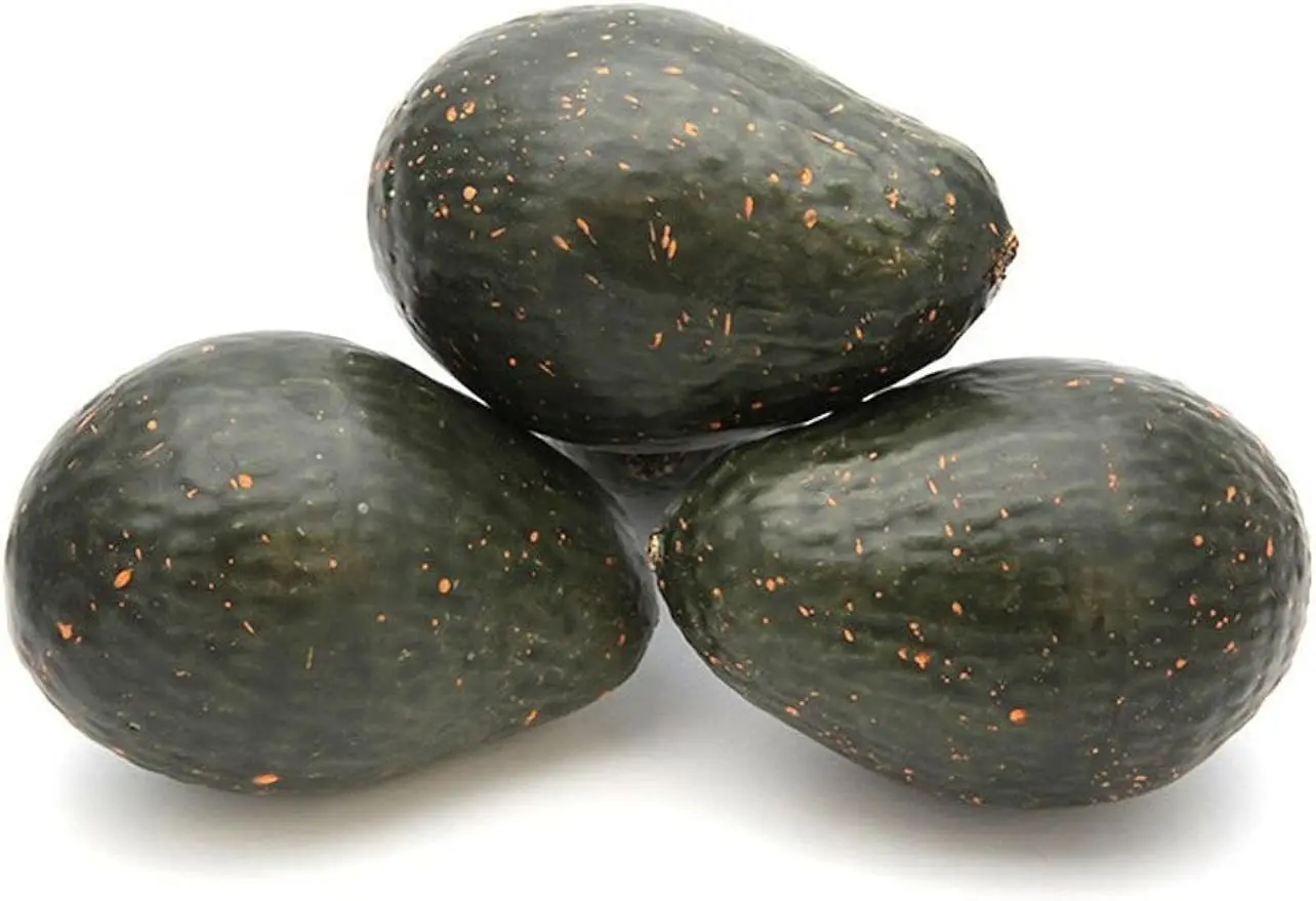 3pcs Artificial Avocados Prop Decor Fake Lifelike Plastic Green Avocado Fruit Vegetable Home Party Festival Decorations
3pcs Artificial Avocados Prop Decor Fake Lifelike Plastic Green Avocado Fruit Vegetable Home Party Festival Decorations