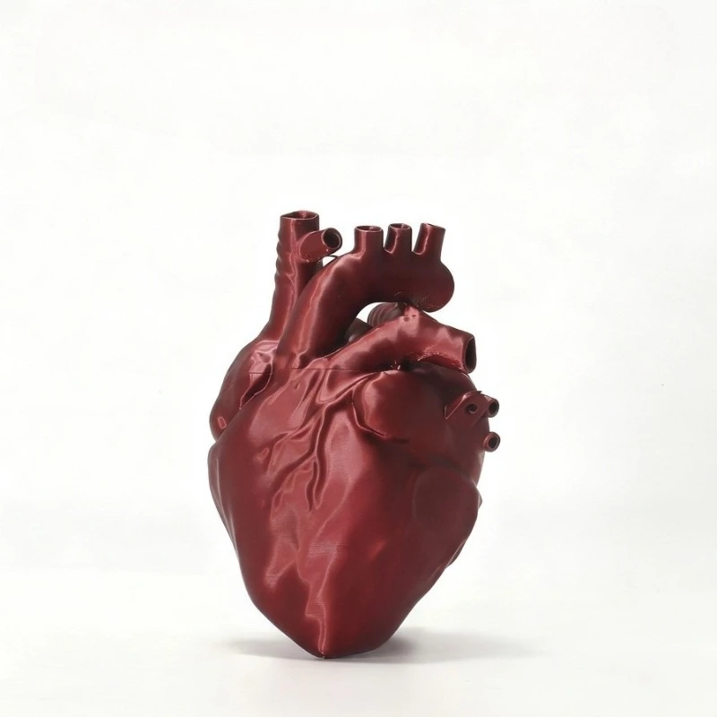 Anatomical Heart Bag Women Novelty 3D Printed Creative Clutch Gothic Punk Chain Shoulder Purse Y2K Alt Fsshion Crossbody Bag
Anatomical Heart Bag Women Novelty 3D Printed Creative Clutch Gothic Punk Chain Shoulder Purse Y2K Alt Fsshion Crossbody Bag