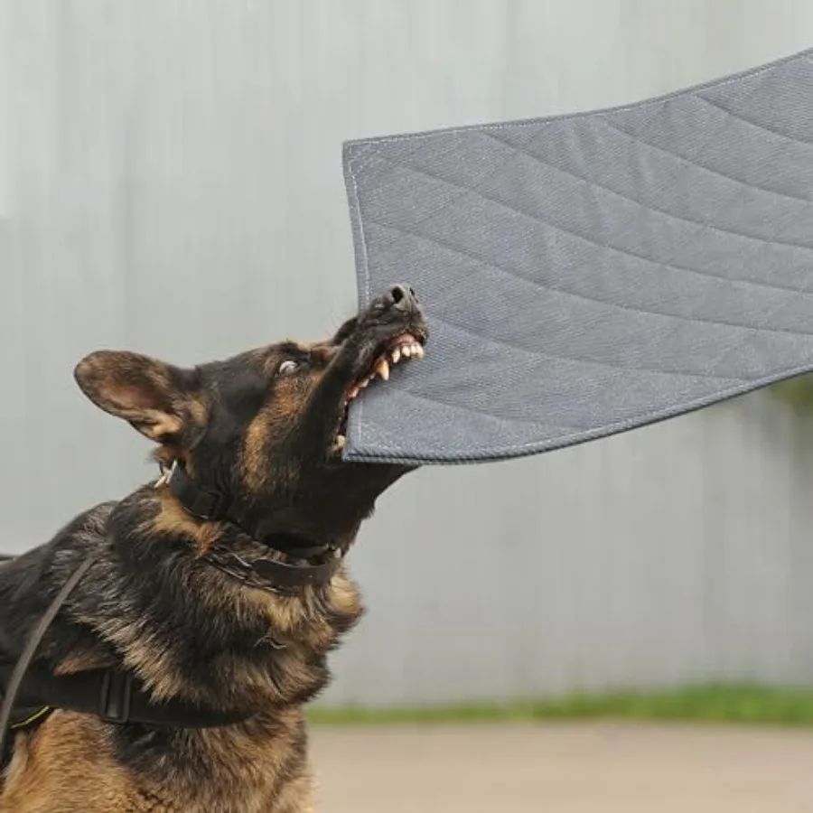 Indestructible Dog Bed Chew Proof Crate Pad for Aggressive Chewers - Machine Washable Quilted Mat for Small Dogs - Durable Kenn
Indestructible Dog Bed Chew Proof Crate Pad for Aggressive Chewers - Machine Washable Quilted Mat for Small Dogs - Durable Kenn