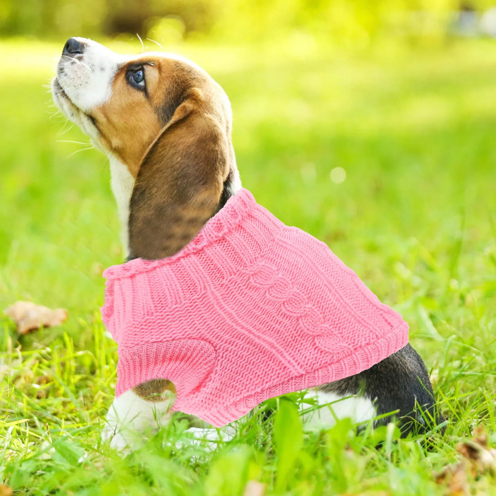 Dog Sweater For Small Dogs Puppy Winter Costume Warm Soft Comfortable Pet Apparel Outdoor Wearable Clothes
Dog Sweater For Small Dogs Puppy Winter Costume Warm Soft Comfortable Pet Apparel Outdoor Wearable Clothes