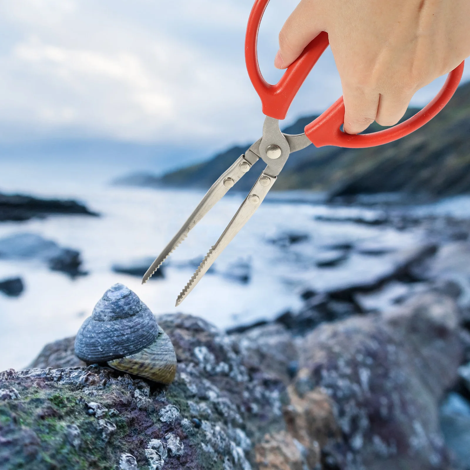 Stainless Steel Crab Tong Multi-Function Seafood Scissor Clip Anti-Slip Clamp Cooking Supply Tool for Crab Lobster Eel Grabber
Stainless Steel Crab Tong Multi-Function Seafood Scissor Clip Anti-Slip Clamp Cooking Supply Tool for Crab Lobster Eel Grabber