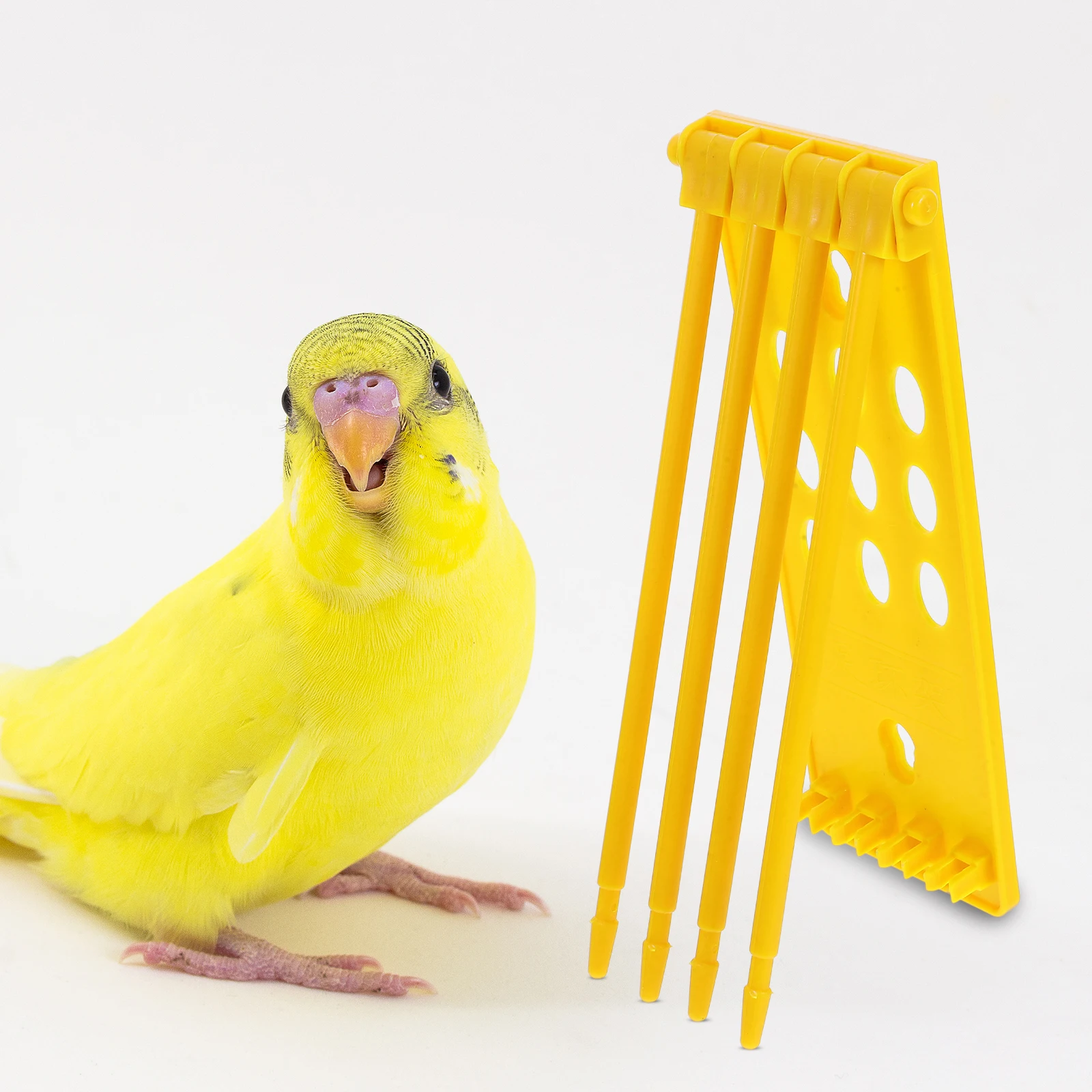 3pcs Pigeon Ring Frame Plastic Hanging Foot Ring Storage Rack For Racing Pigeons Durable Space Saving Easy Installation Outdoor
3pcs Pigeon Ring Frame Plastic Hanging Foot Ring Storage Rack For Racing Pigeons Durable Space Saving Easy Installation Outdoor