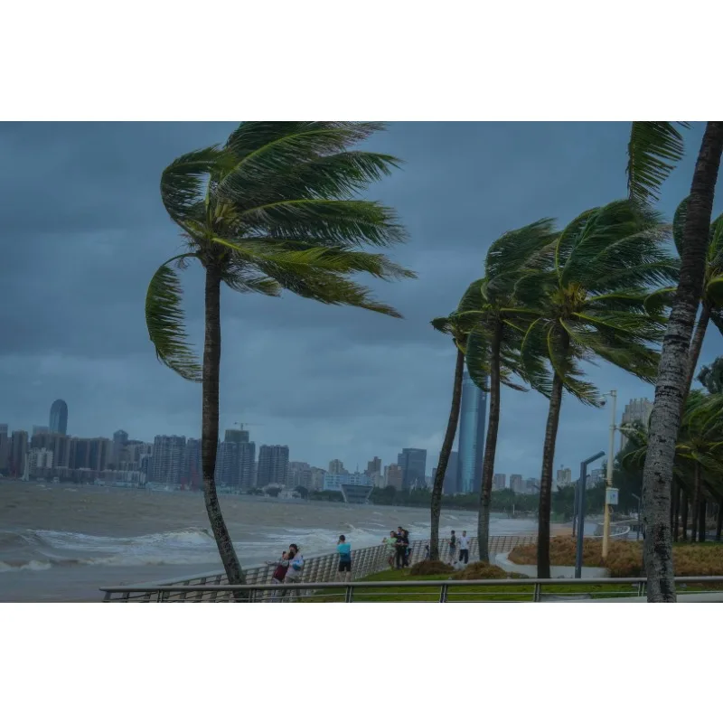 Задний противотуманный фонарь Tiy с лампочкой 6351HA 6350HA, фонарь заднего бампера для Peugeot 206 207 2009 2010 2011 2012 2013 2014
Задний противотуманный фонарь Tiy с лампочкой 6351HA 6350HA, фонарь заднего бампера для Peugeot 206 207 2009 2010 2011 2012 2013 2014