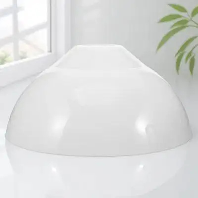 Acrylic Lamp Shade Pendant Lamp Cover Home Decorative Light Fixture Replacement Aesthetic Flower Design Pendant Light Shades
Acrylic Lamp Shade Pendant Lamp Cover Home Decorative Light Fixture Replacement Aesthetic Flower Design Pendant Light Shades