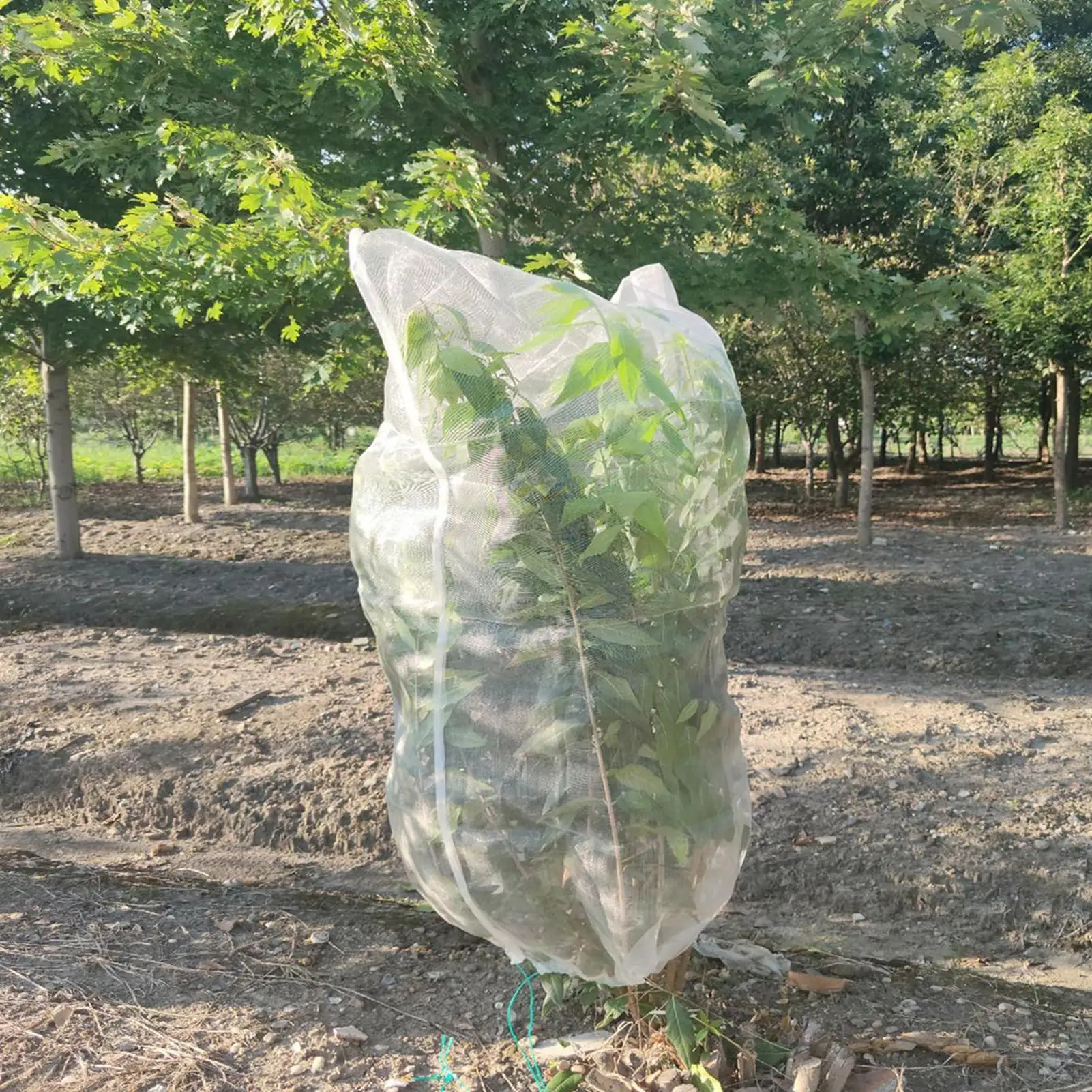 2-х предметная сетка для фруктовых деревьев, защитные чехлы для растений, сетка для защиты птиц и насекомых с завязкой и застежкой-молнией
2-х предметная сетка для фруктовых деревьев, защитные чехлы для растений, сетка для защиты птиц и насекомых с завязкой и застежкой-молнией