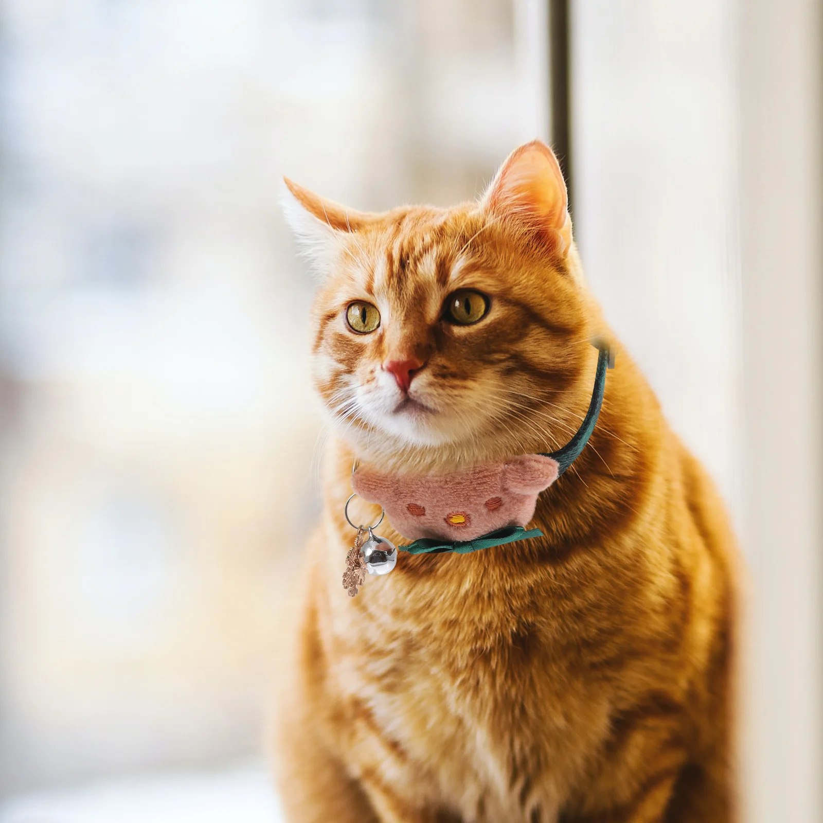 2 Pcs Pet Collar Christmas Cat Bowtie Kitten for Dog Outdoor Accessories Cotton Adjustable Puppy Id Collars
2 Pcs Pet Collar Christmas Cat Bowtie Kitten for Dog Outdoor Accessories Cotton Adjustable Puppy Id Collars