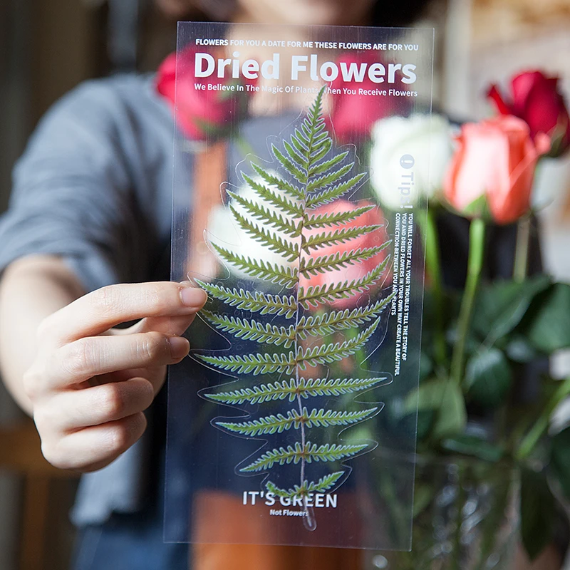 6Sheets Flower Fern Green leafy plant Decorative Stickers Office Scrapbooking Material Supplies Sticker School book 20*11CM
6Sheets Flower Fern Green leafy plant Decorative Stickers Office Scrapbooking Material Supplies Sticker School book 20*11CM