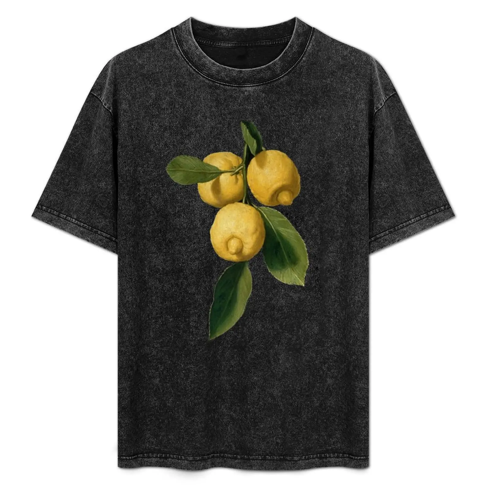 James May, Posh Lemon Shirt T-Shirt Festival Short Sleeve T-Shirt
James May, Posh Lemon Shirt T-Shirt Festival Short Sleeve T-Shirt