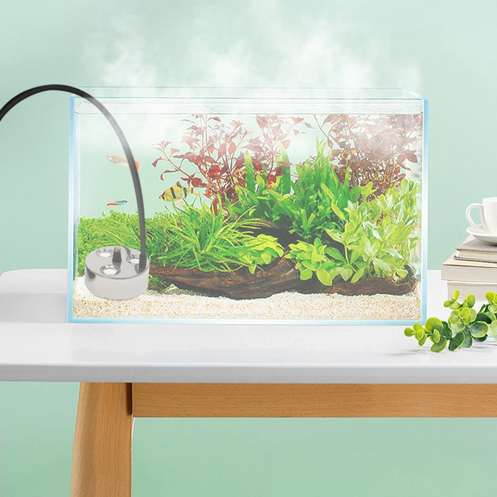 Ультразвуковой туманообразователь с 3 головками, 900 мл/ч, 60 Вт, фонтан, пруд, увлажнитель воздуха для внутреннего сада, гидропоники, декор
Ультразвуковой туманообразователь с 3 головками, 900 мл/ч, 60 Вт, фонтан, пруд, увлажнитель воздуха для внутреннего сада, гидропоники, декор