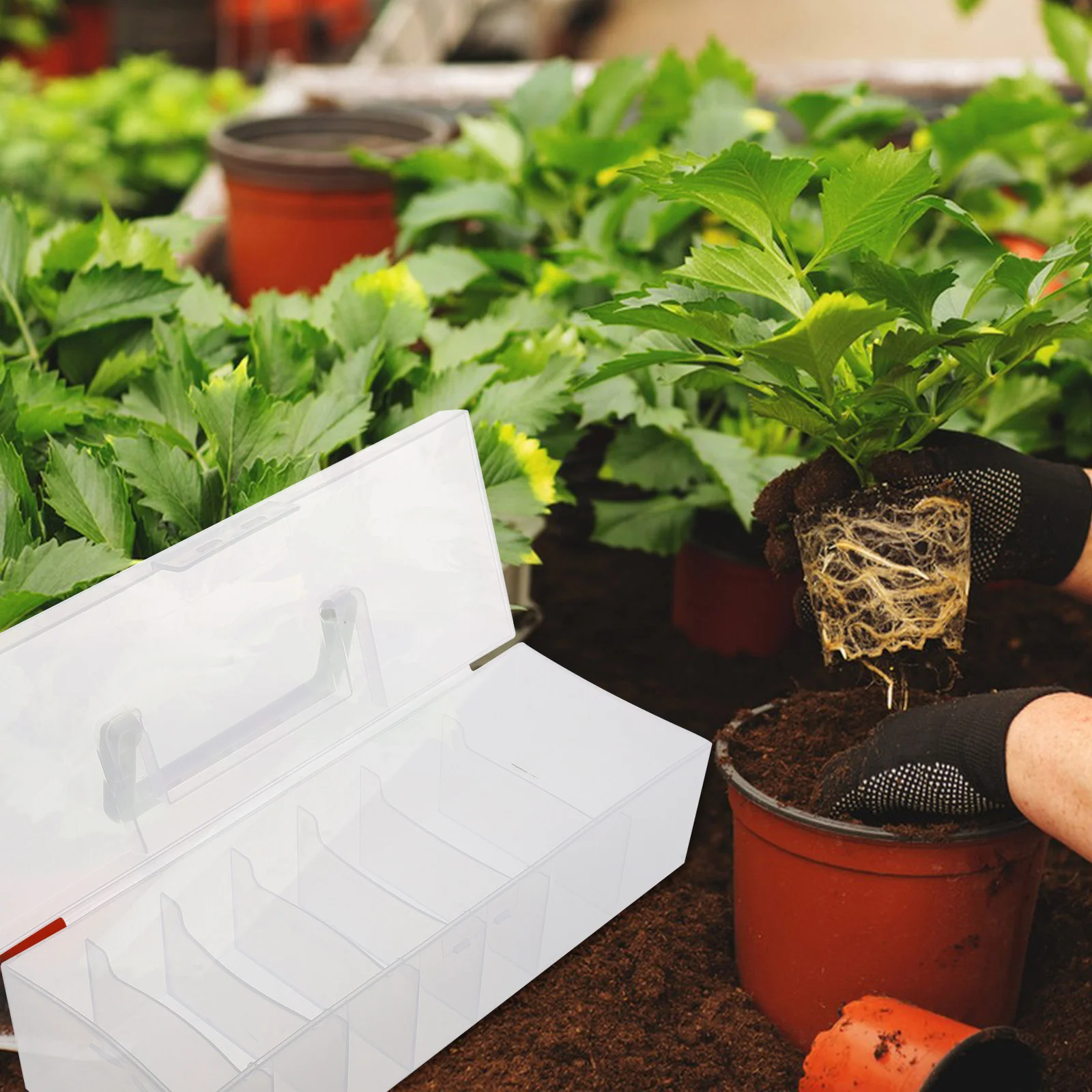 Seed Storage Box Organizer Plastic Portable Gardening Seeds Packet Holder Compartment Clear Lightweight
Seed Storage Box Organizer Plastic Portable Gardening Seeds Packet Holder Compartment Clear Lightweight