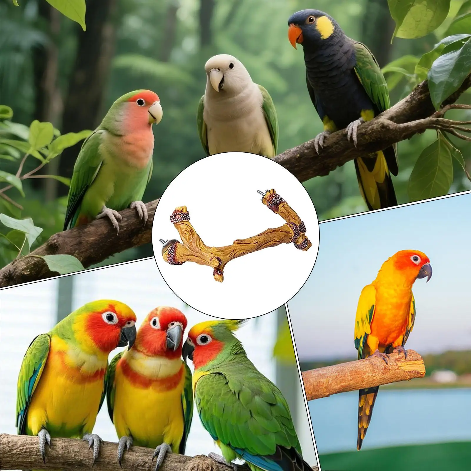 Bird Cage Perch Resin Anti-Slip Paw Grinding Cage Accessories Parrot Stand Branch For Small Parakeet Cockatiel Lovebird Conure
Bird Cage Perch Resin Anti-Slip Paw Grinding Cage Accessories Parrot Stand Branch For Small Parakeet Cockatiel Lovebird Conure
