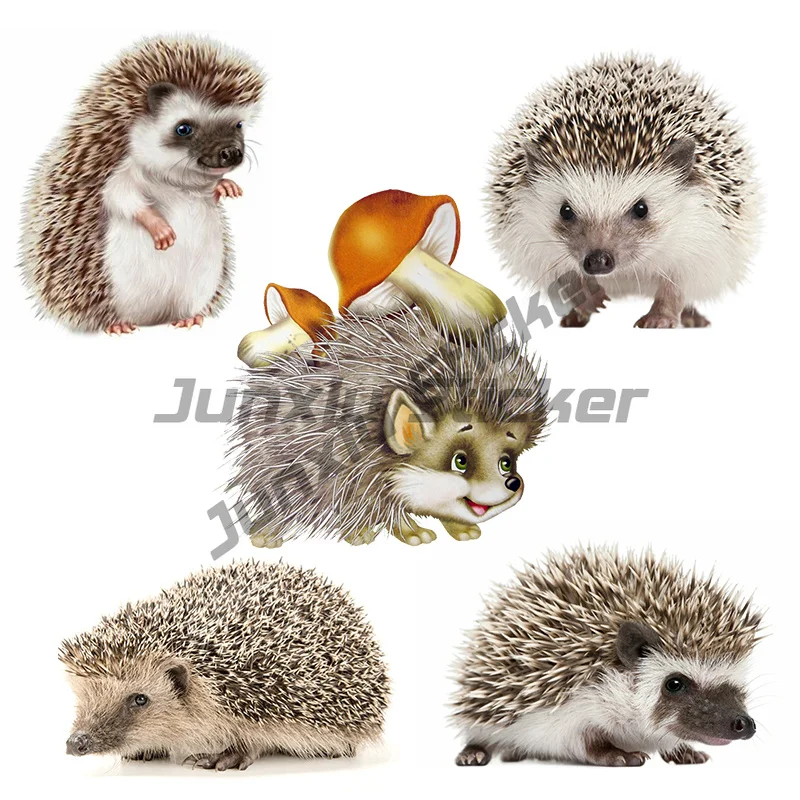 Car Sticker Cute Hedgehog Motorcycle Waterproof Vinyl Decal Car Accessories Decor Pegatinas Para Coche
Car Sticker Cute Hedgehog Motorcycle Waterproof Vinyl Decal Car Accessories Decor Pegatinas Para Coche