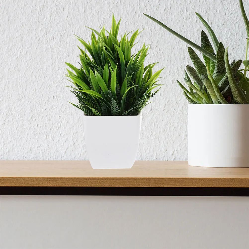 3Pcs Mini Artificial Plants Potted High Realism Small Faux Plants Indoor Decor Bedroom Office Shelf Vivid Fake Plant Ornaments
3Pcs Mini Artificial Plants Potted High Realism Small Faux Plants Indoor Decor Bedroom Office Shelf Vivid Fake Plant Ornaments