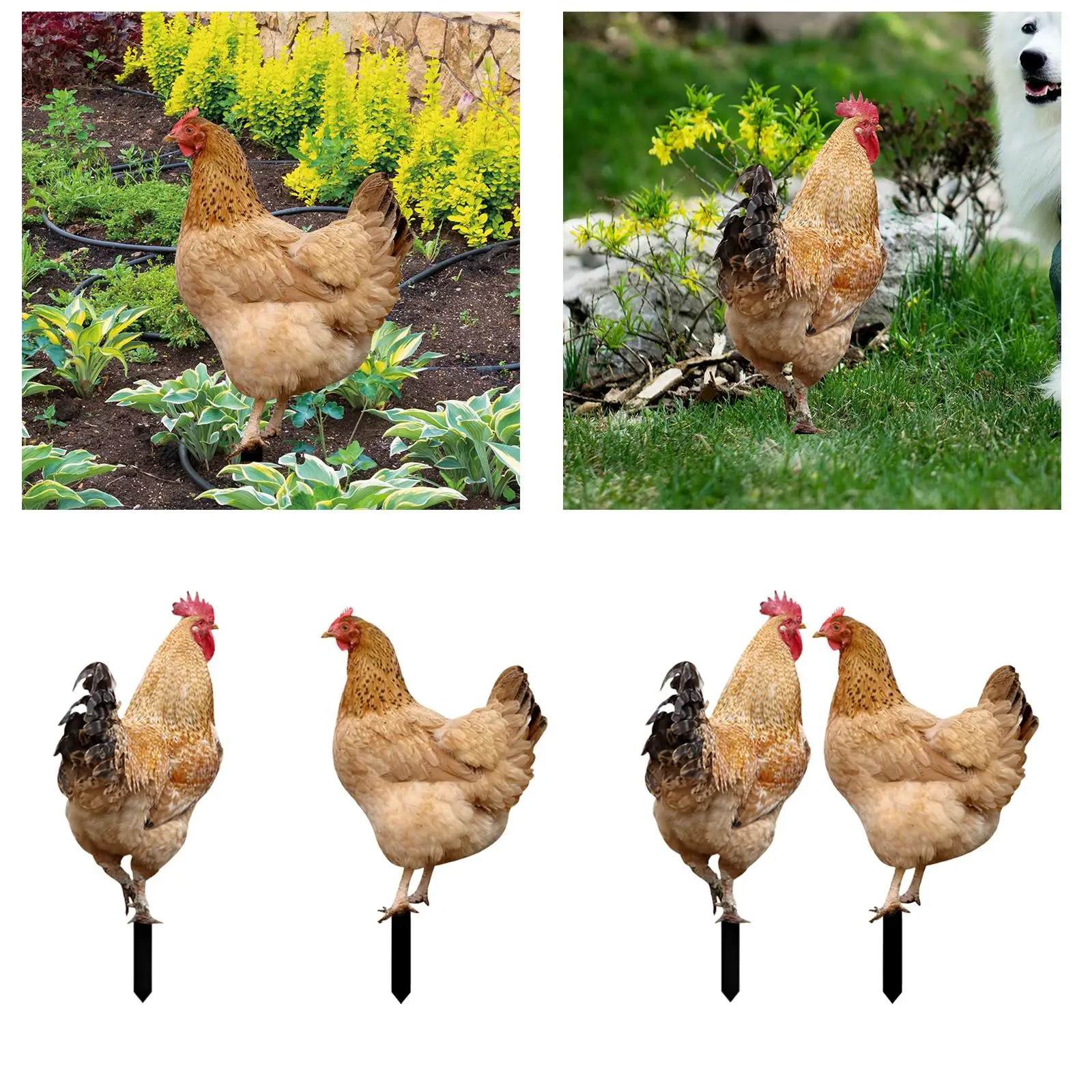 Chicken Animal Statue Stakes Chicken Ornaments,Acrylic Sign Chicken Sculpture Garden Decorations for Yard,Art Sculpture Home
Chicken Animal Statue Stakes Chicken Ornaments,Acrylic Sign Chicken Sculpture Garden Decorations for Yard,Art Sculpture Home
