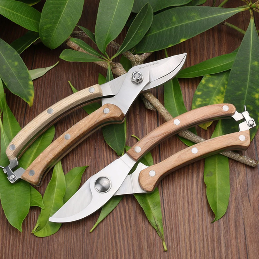 Stainless Steel Multifunctional Garden Scissors Professional Pruning Shear Bonsai Trimmer Tool for Flower Shrub Branch Cutting
Stainless Steel Multifunctional Garden Scissors Professional Pruning Shear Bonsai Trimmer Tool for Flower Shrub Branch Cutting