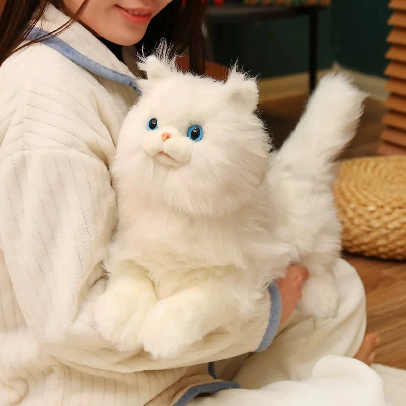 Adorable Animal Cat Plush Toy Persian Cat Doll Simulation Cats Doll Girls Birthday Gift Companion 65cm 25.6inch DY10495
Adorable Animal Cat Plush Toy Persian Cat Doll Simulation Cats Doll Girls Birthday Gift Companion 65cm 25.6inch DY10495