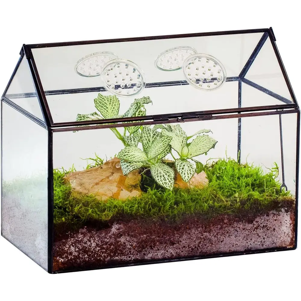 Terrarium with Lid and Air Holes for Snails, Succulents Plants, Small Cactus - 10.2 x 5.9 x 8.2 House Shape Geometric Clear Box,
Terrarium with Lid and Air Holes for Snails, Succulents Plants, Small Cactus - 10.2 x 5.9 x 8.2 House Shape Geometric Clear Box,