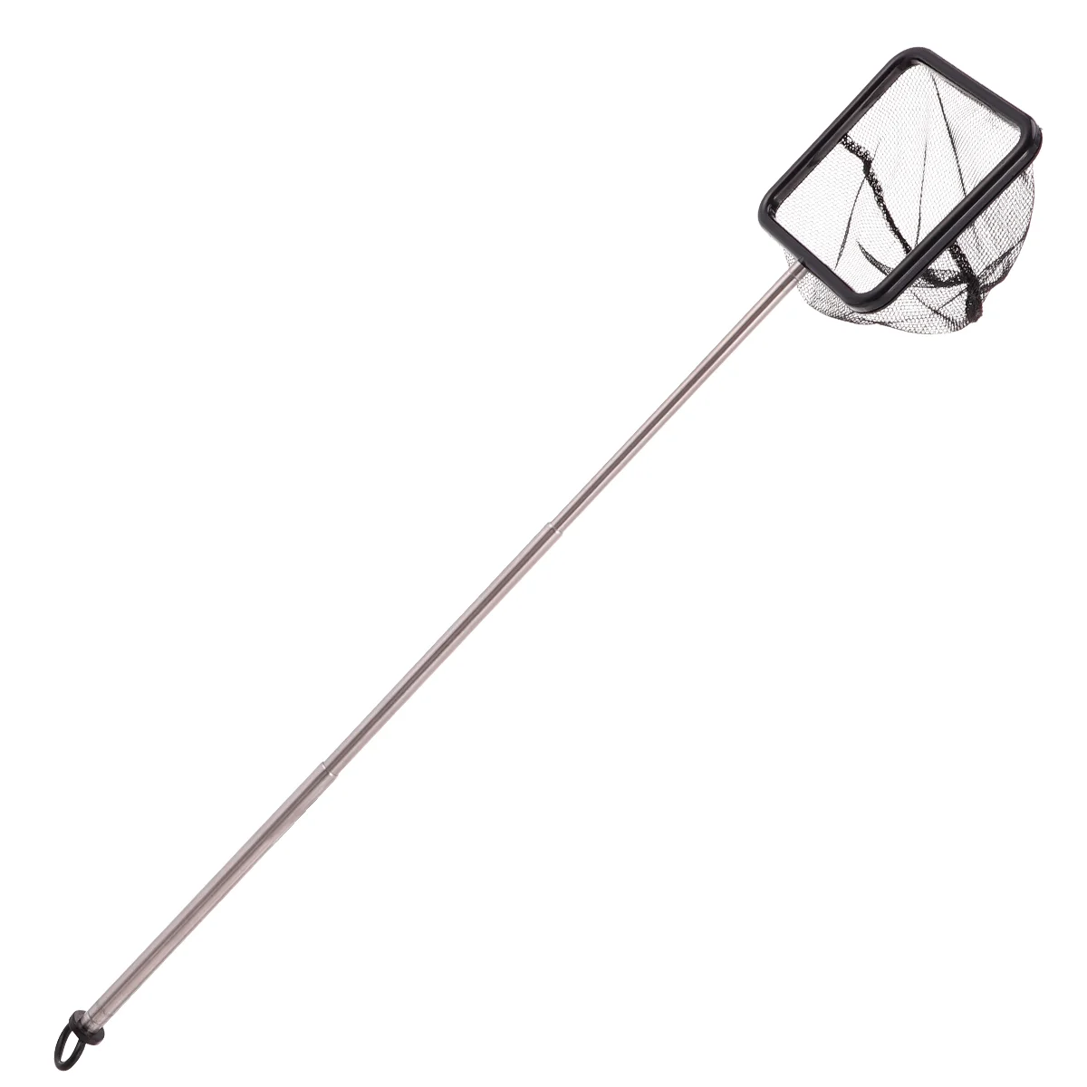 Stainless Steel Fish Net Telescopic Handle Foldable Mesh Aquarium Tank Non Absorbent Gentle Fish Catching
Stainless Steel Fish Net Telescopic Handle Foldable Mesh Aquarium Tank Non Absorbent Gentle Fish Catching